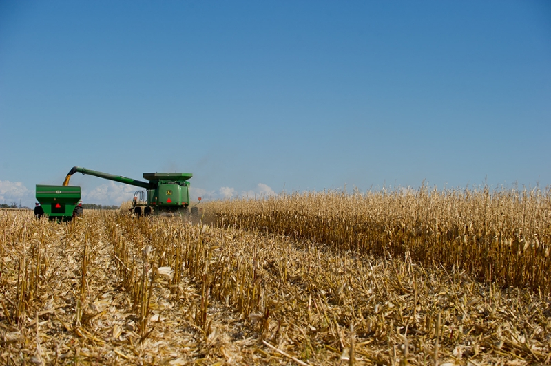 the harvesting of crops 