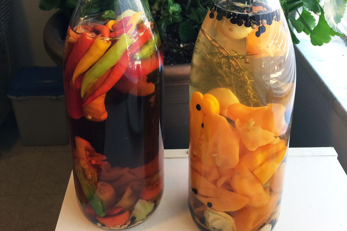 Close up of peppers and spices in glass bottles with vinegar and sherry.