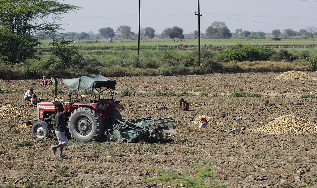 A tractor and farmworkers in a field harvesting potatoes in India
