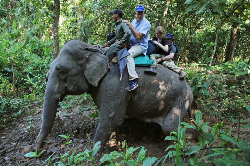 people on top of an elephant 