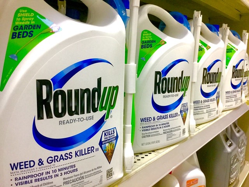 Roundup Weed Killer on store shelfs 