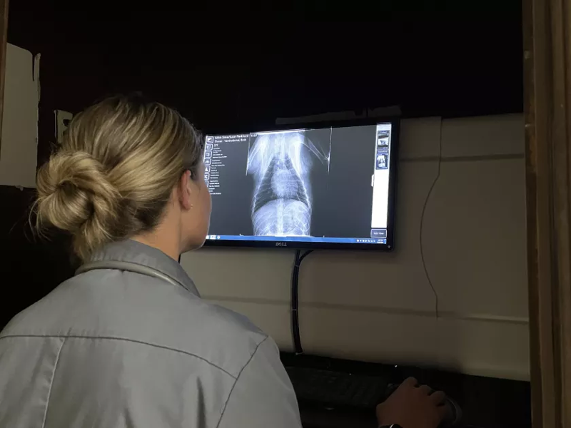 Hull looking at a patients x-ray