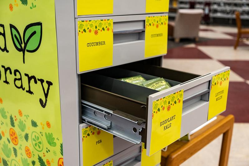 a seed library made from a filing cabinet 