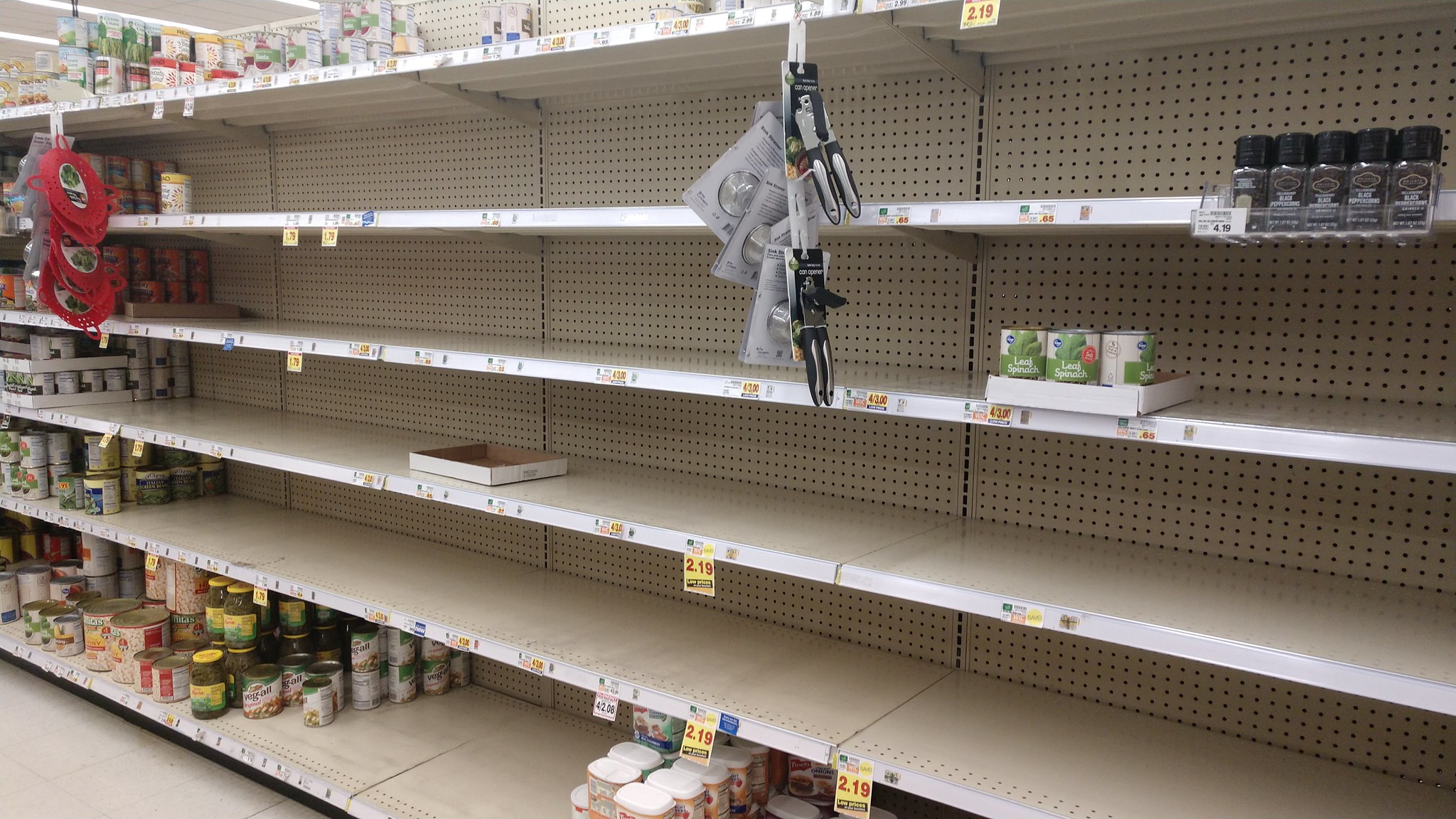 Nearly empty grocery store shelves, in the canned goods section.