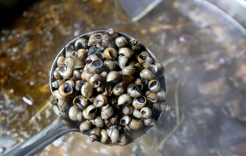 Spoon full of river snails 