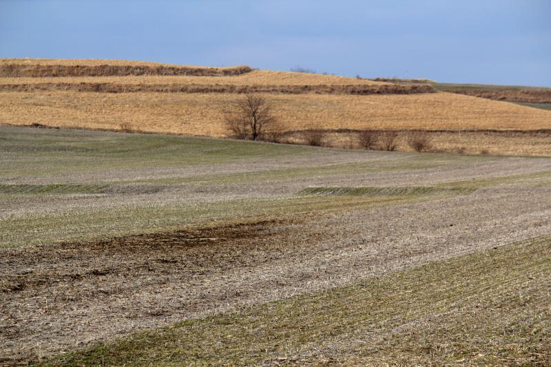 A Decade-Long Study Finds Cover Crops Help Farmers Improve Soil