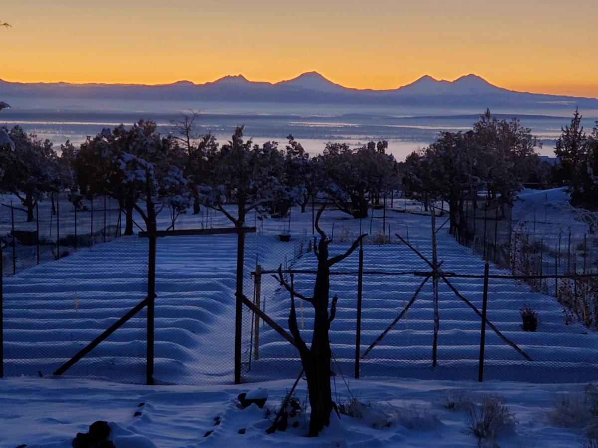 View of a fenced garden covered in snow with a colorful sunset and a mountain range in the background