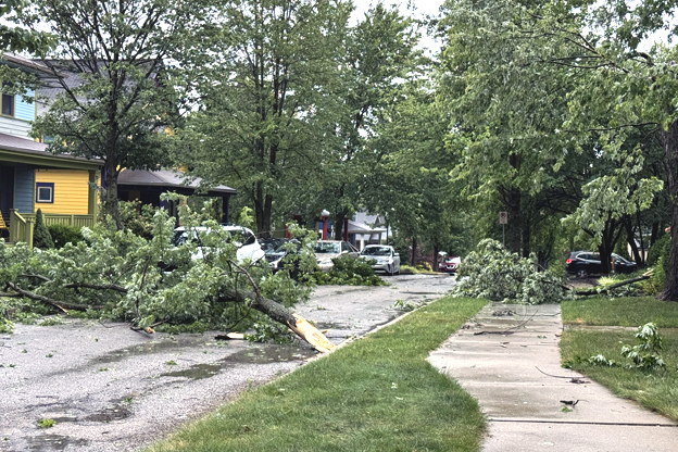 Aftermath of Tuesday's storm on south Dunn Street in Bloomington.