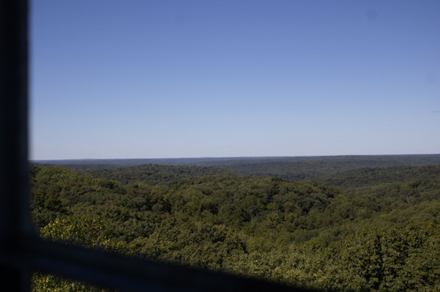 View of Hoosier National Forest from the Hickory Ridge Fire Tower