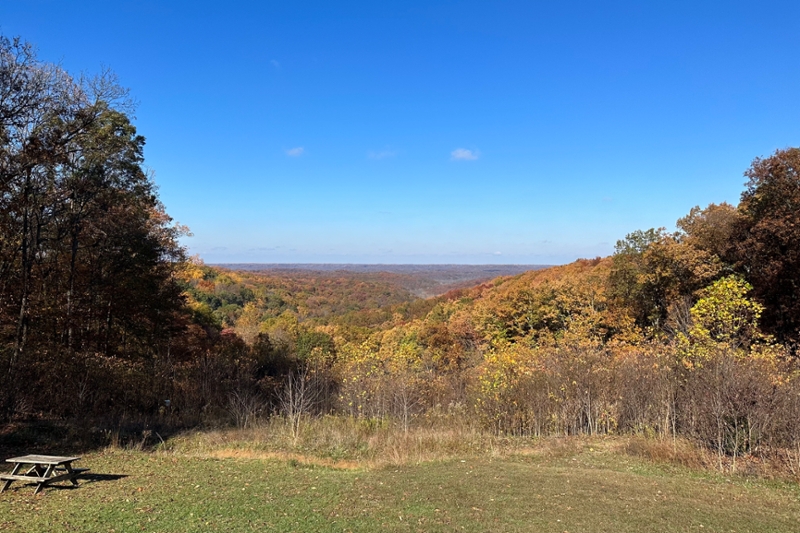 Brown Co fall foliage