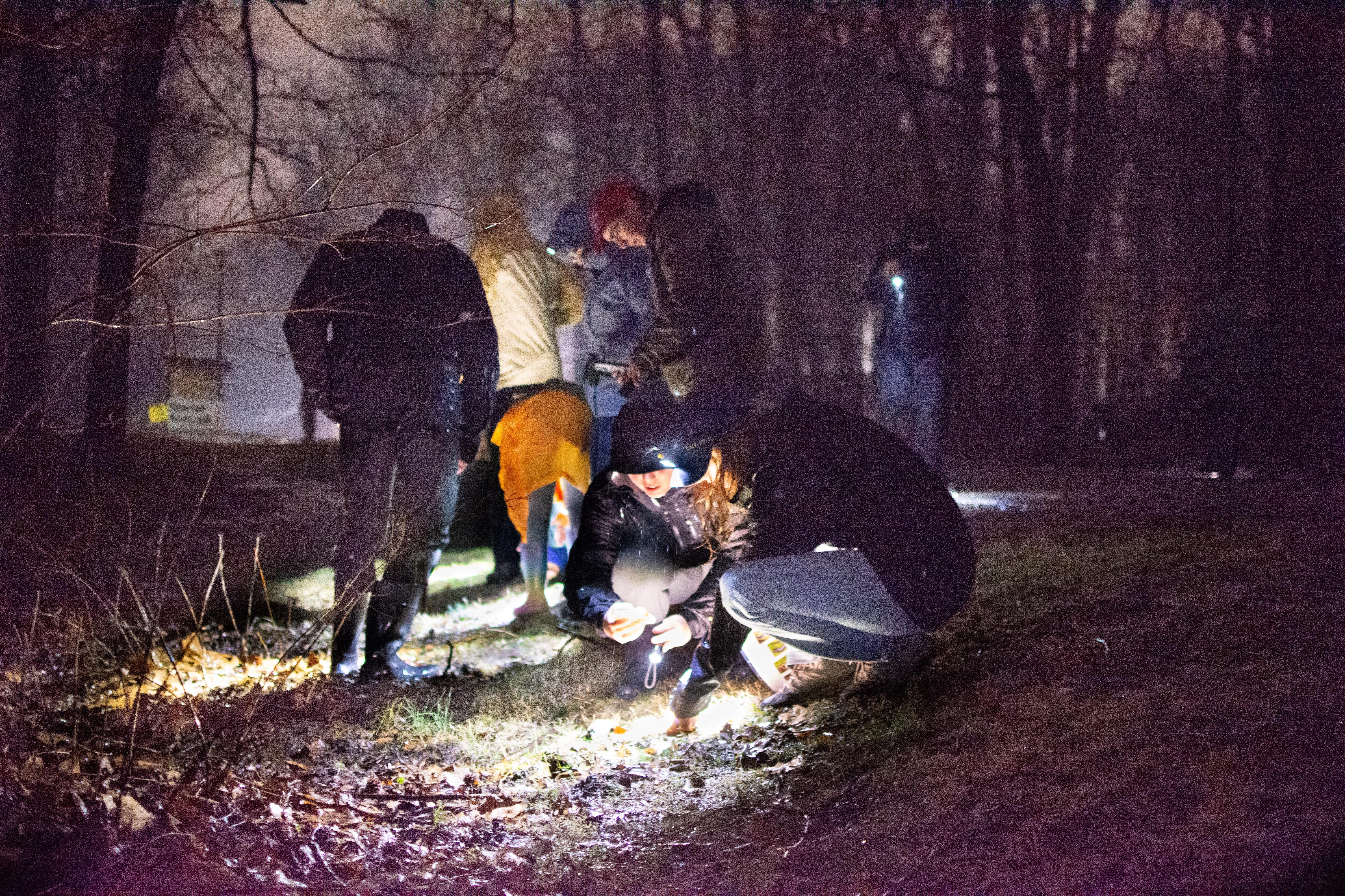 Wesselman Woods volunteers spot and measure salamanders March 4 2025