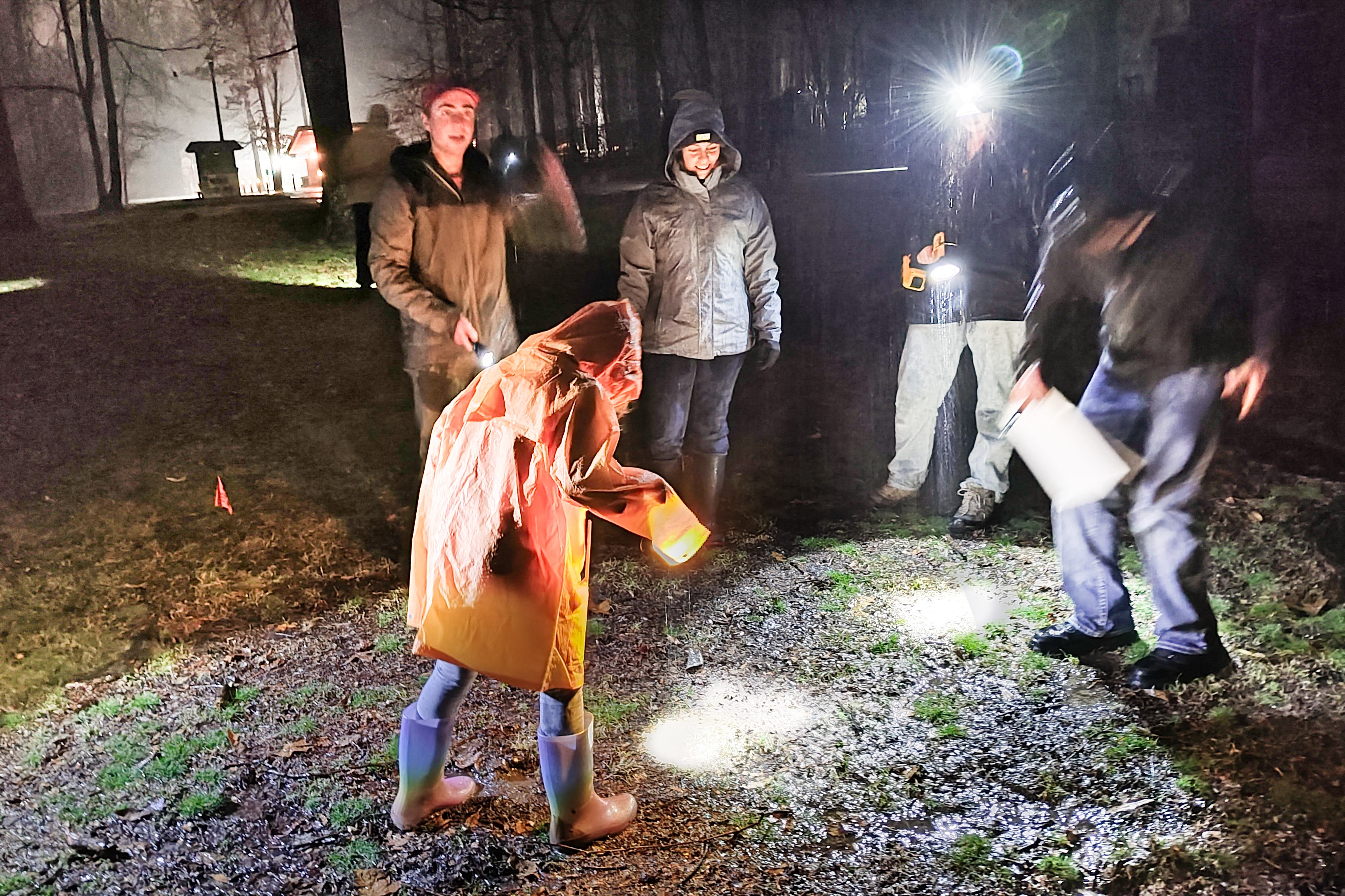 Derek Walsh (left) with Wesselman Woods, spots and measure salamanders with volunteers, Tuesday night, March 4. This is the first time in more than a year that the conditions have been right to count these amphibians, which can inform scientists conc