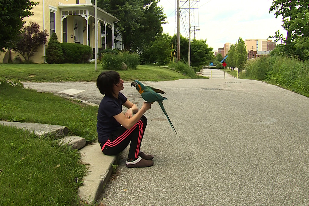 woman sits with her pet parrot outside