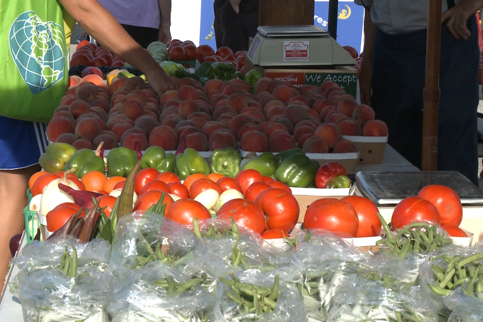 Tomatoes at the alternative farmers' market, August 3, 2019.