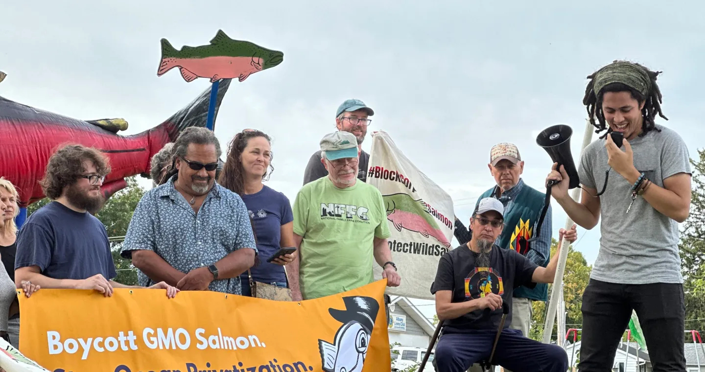 boycott-gmo-salmon-community-alliance-for-global-justice.jpeg