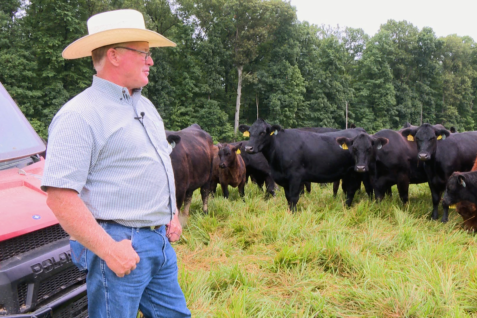 beef-prices-are-rising-but-farmers-aren-t-cashing-in-news-indiana-public-media