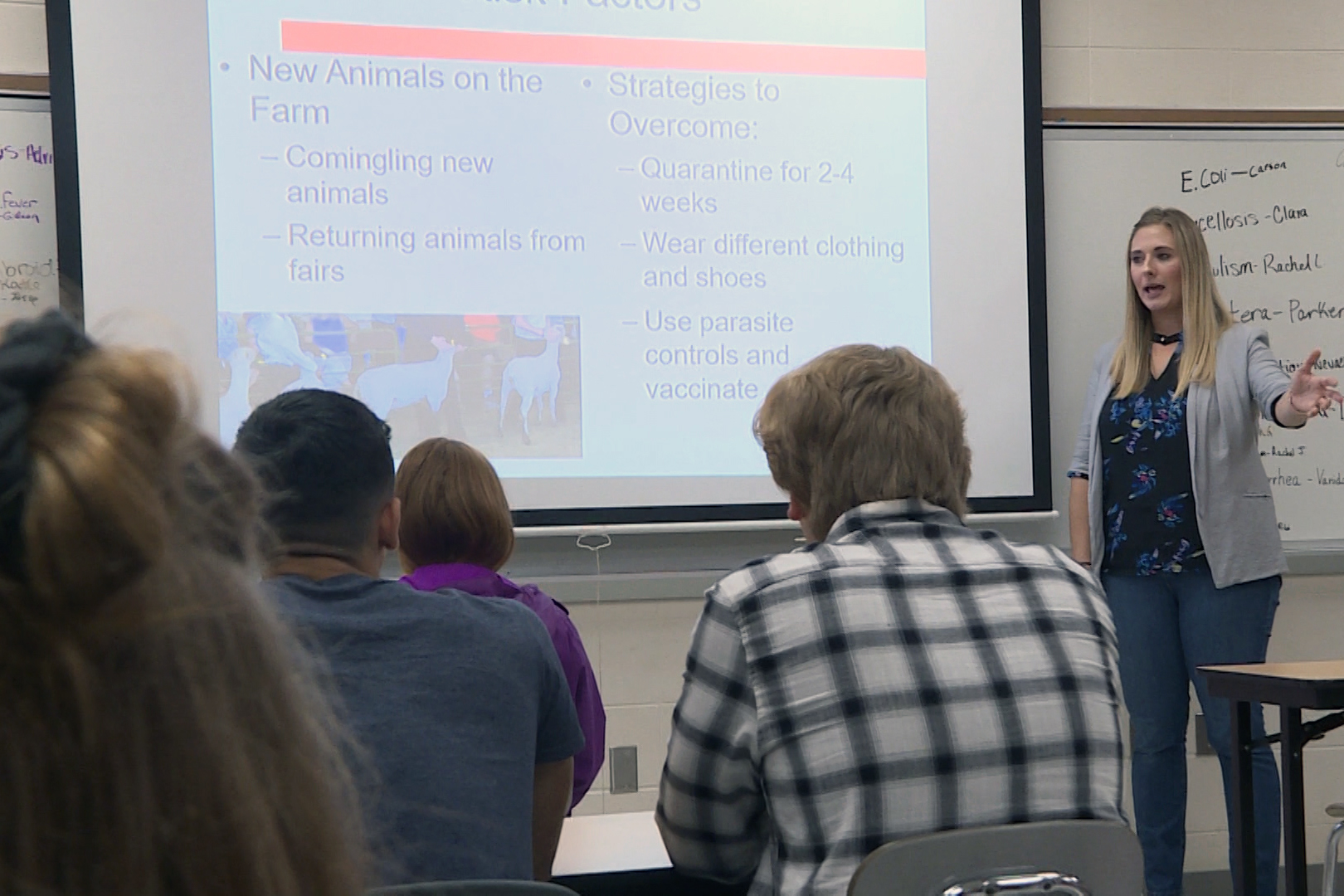 ffa classroom