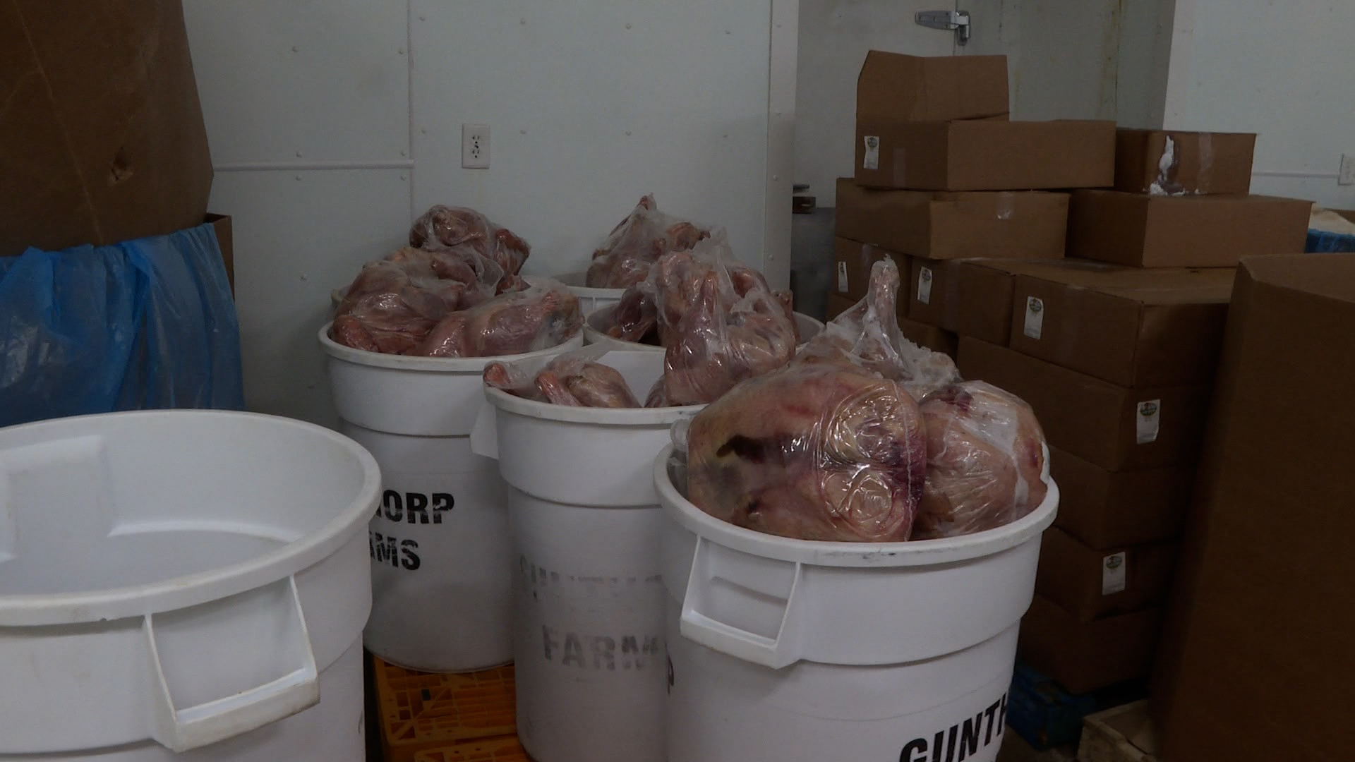 These frozen turkeys are the only ones on Greg Gunthorp's farm. Usually this time of year sees the farm full of them.