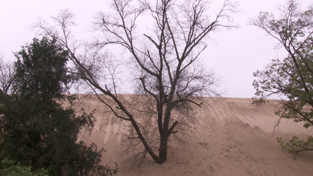 A view of a dune at Indiana Dunes National Park, near Michigan City, IN.