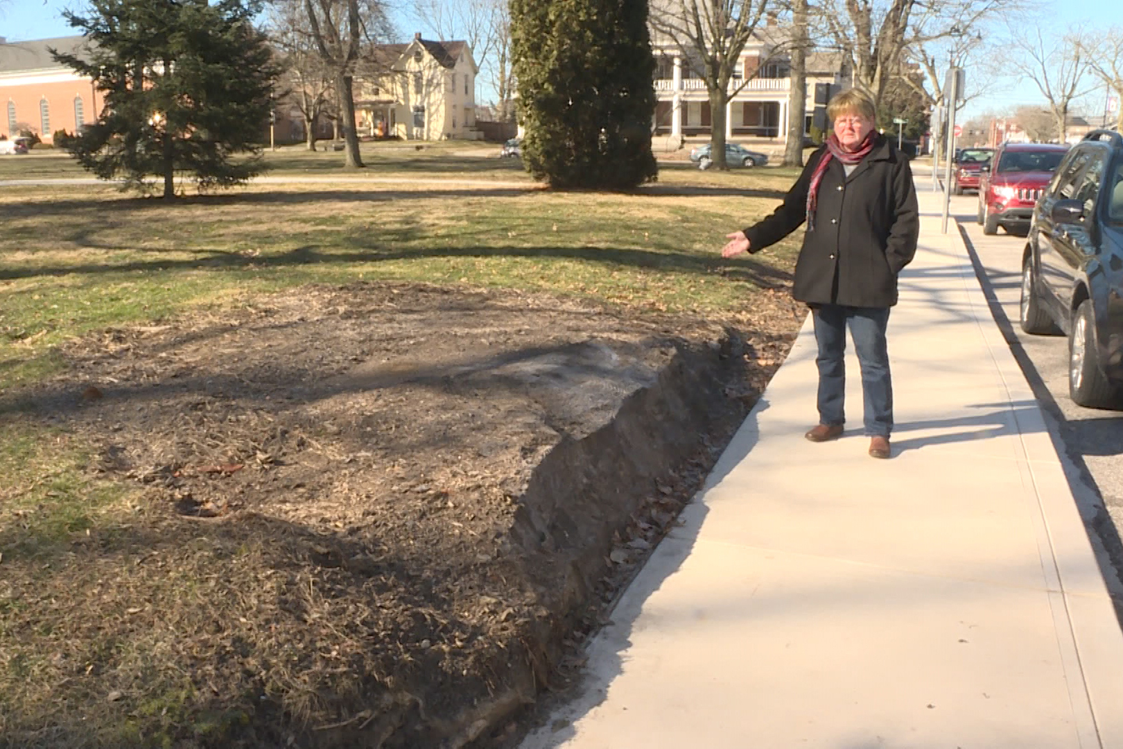 Sue Lucas says this covered stump in front of Lane Place in Crawfordsville used to be a roughly 200-year-old tree. The city is losing many of its older trees and trying to figure out how best to replace them.