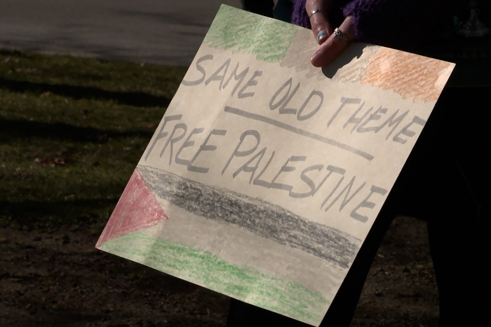 Palestine Protest sign