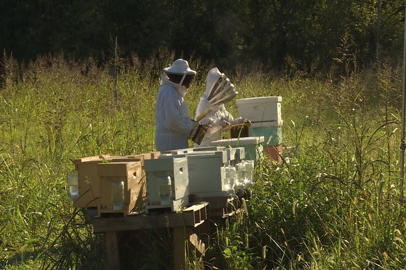 IU Biology Researchers