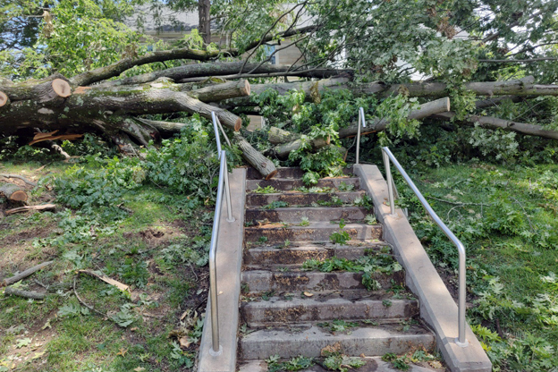 Storm Damage Jordan Ave and 7th Street