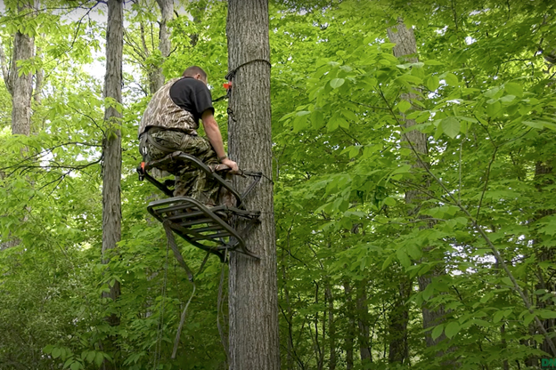 An Indiana Department of Natural Resources employee demonstrates how to safely set up a climbing tree stand.