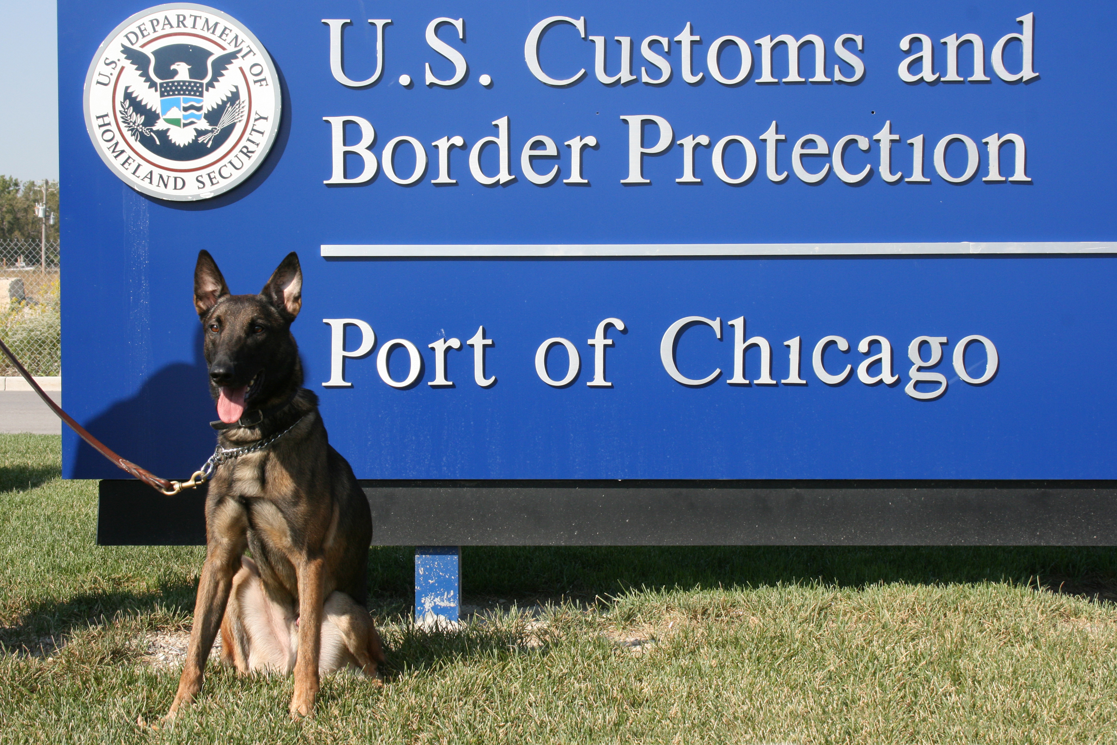 A dog sits in front of the sign for the Chicago port's U.S. Customs and Border Protection branch