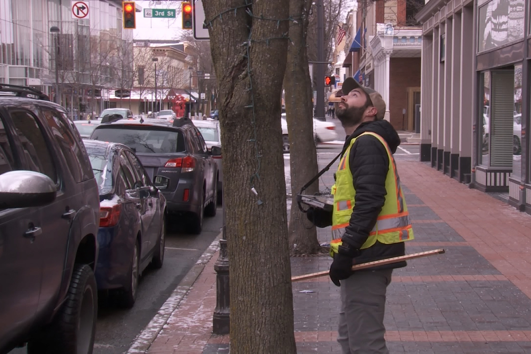 Tyler VanVlerah looks at the condition of a tree in downtown Columbus.