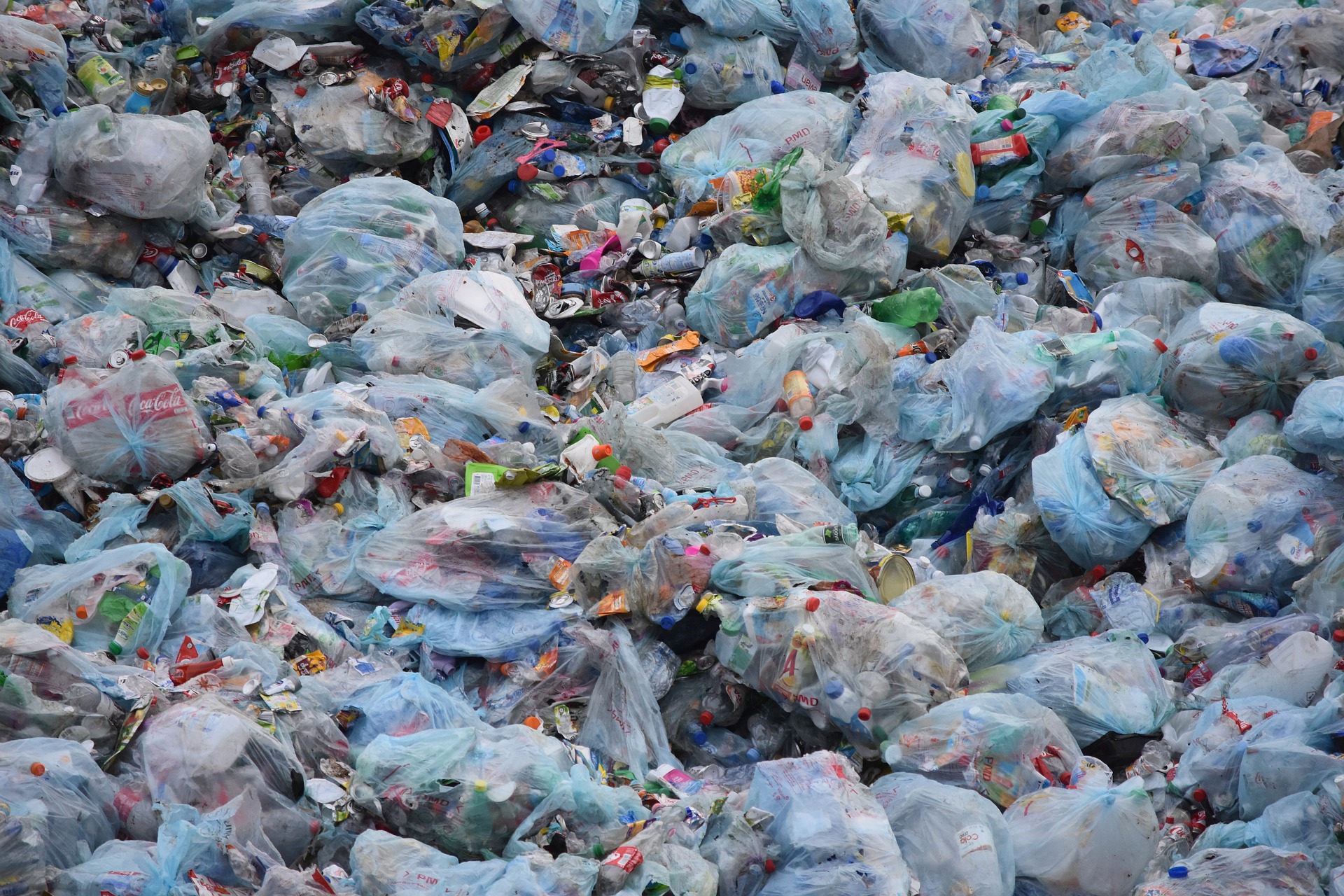 plastic bags sit in a landfill