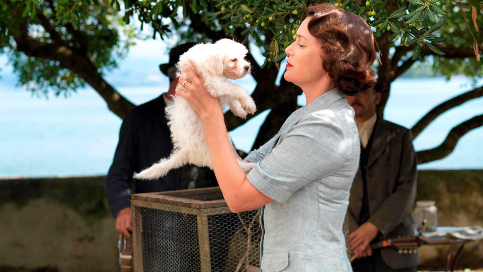 Durrells in Corfu puppy