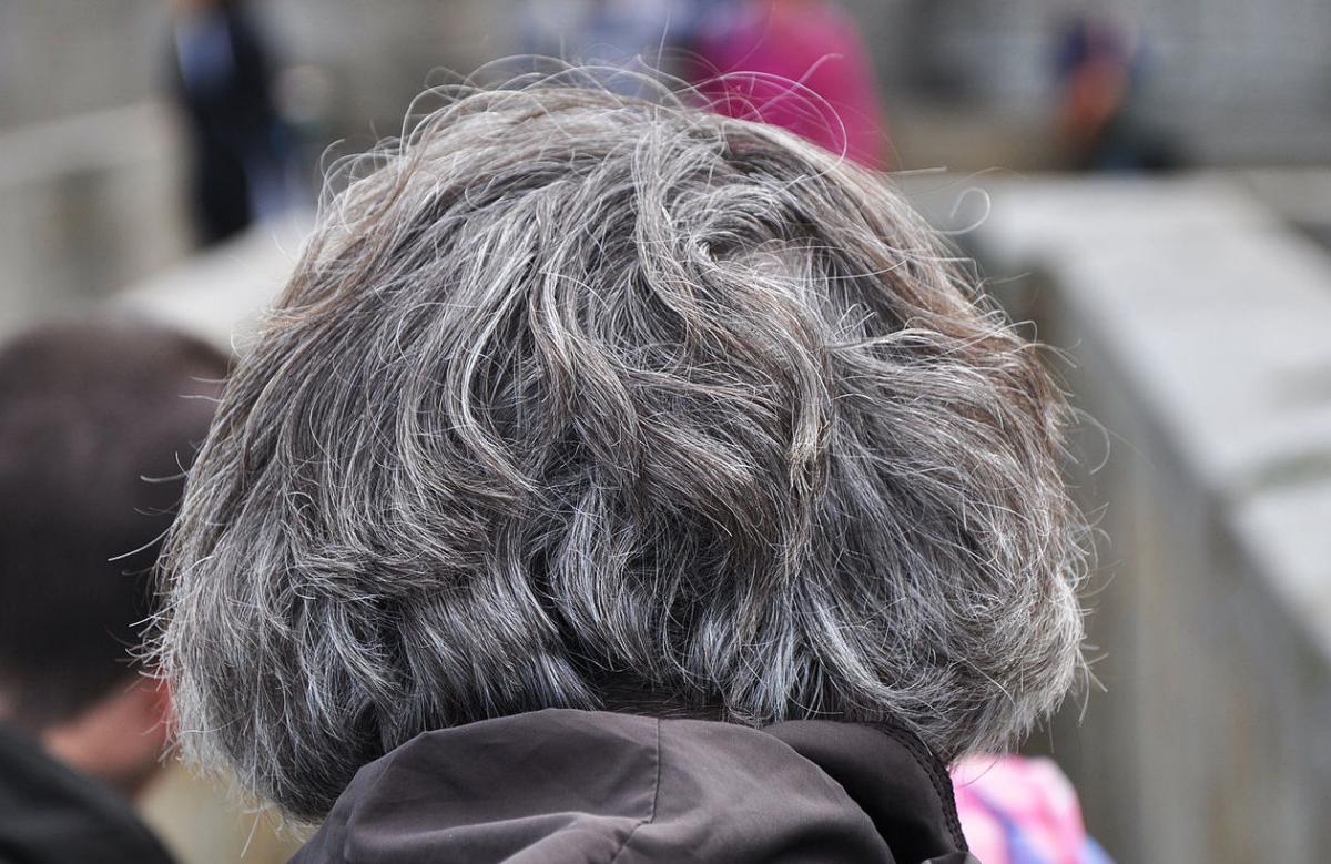How Stress Causes Gray Hair | A Moment of Science - Indiana Public Media