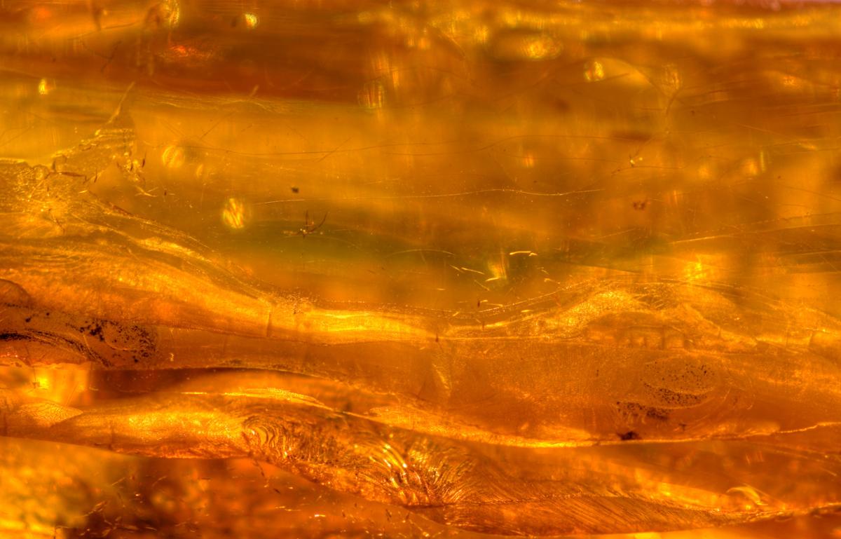A closeup of the textured surface of a piece of amber