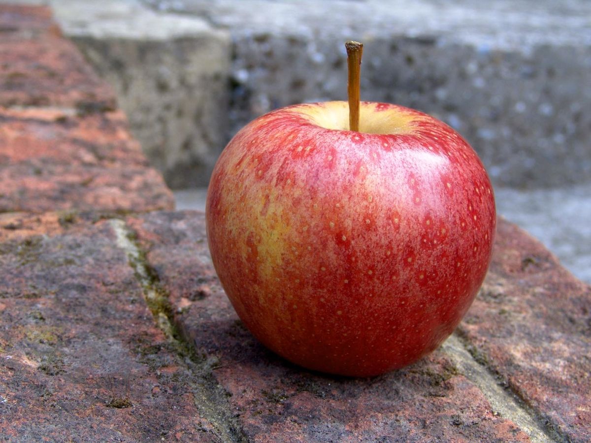 A shiny apple sits on a short brick wall outside
