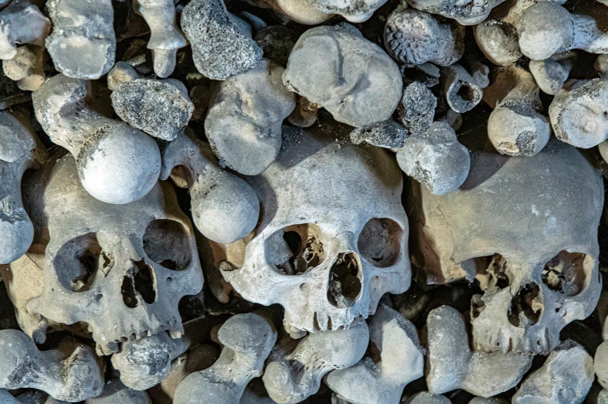 Three skulls sit within a wall of other human remains
