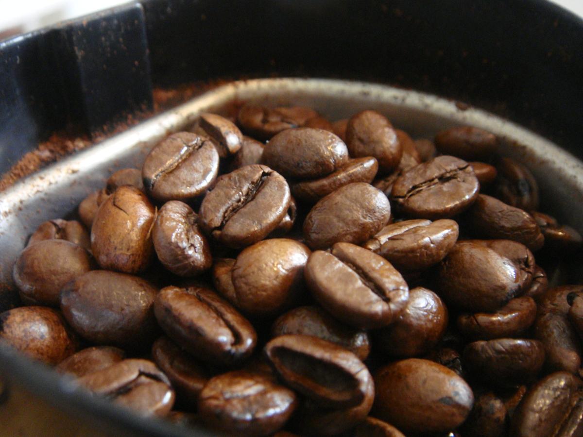 A number of coffee beans sitting in a scoop