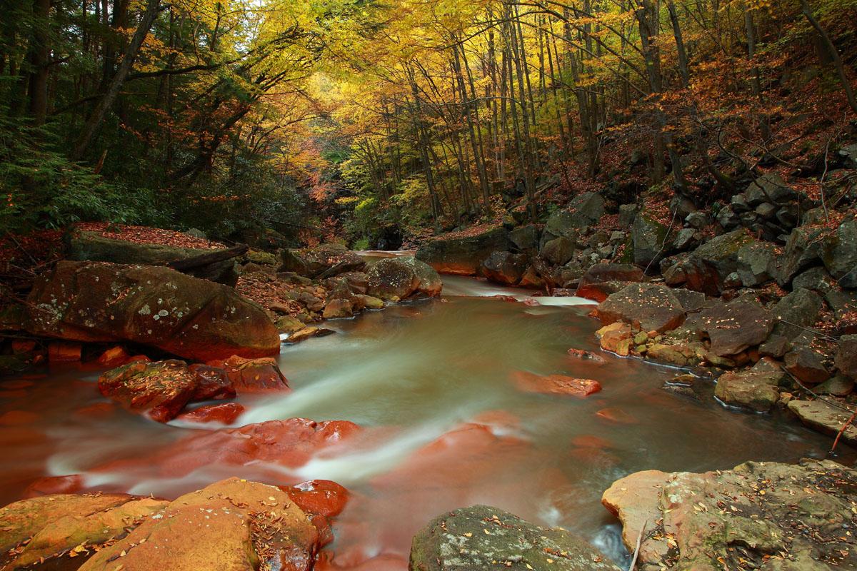 A creek in autumn.
