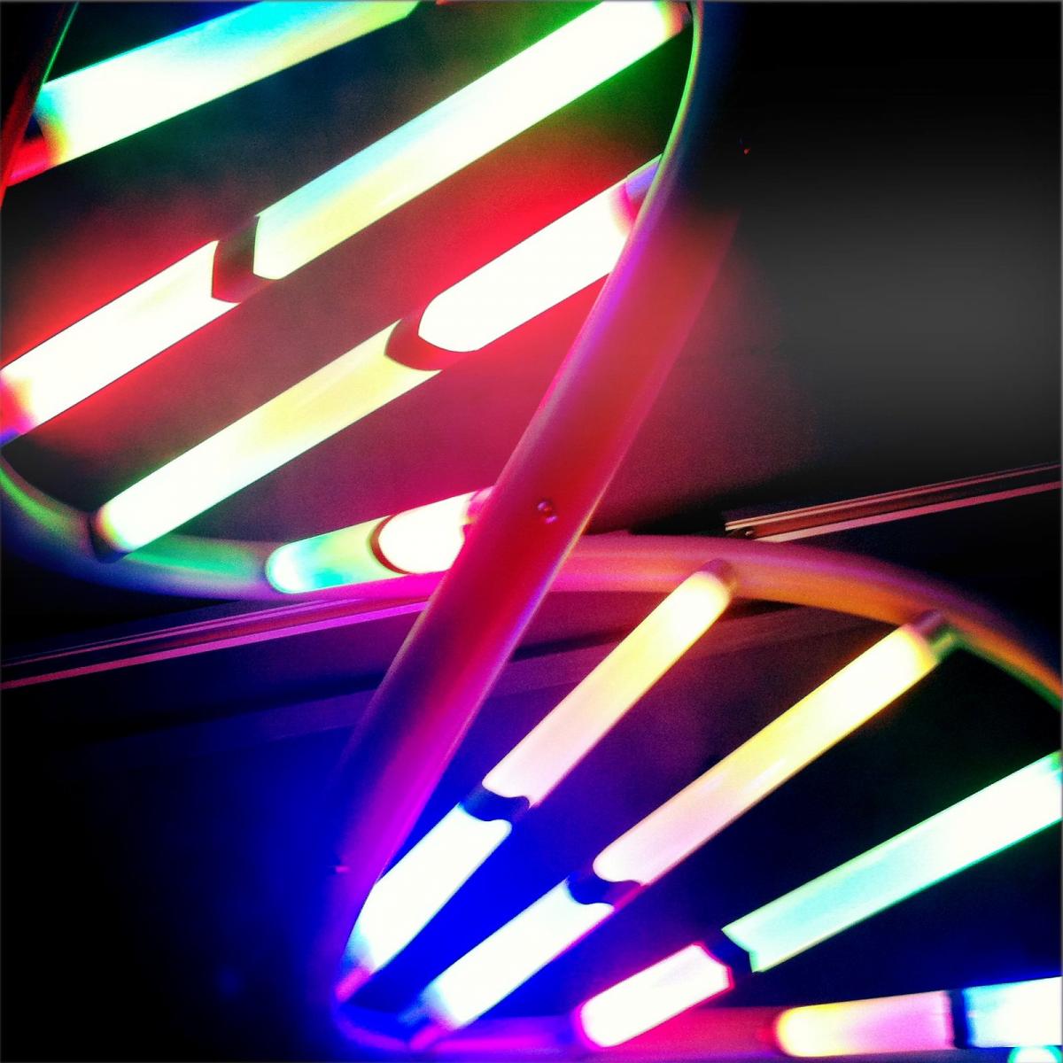 Neon lights arranged to resemble the structure of DNA