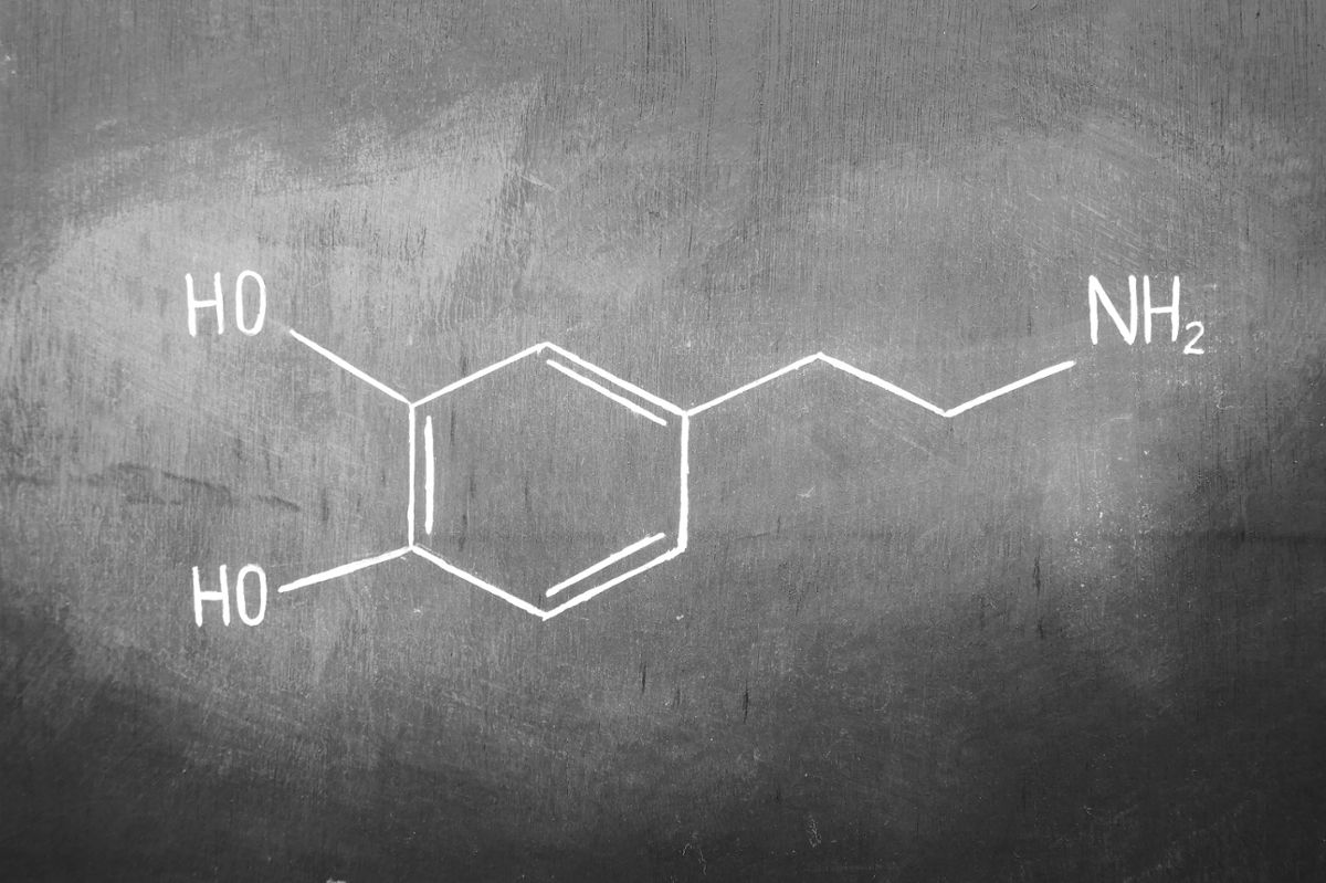The molecular structure of dopamine written on a chalkboard