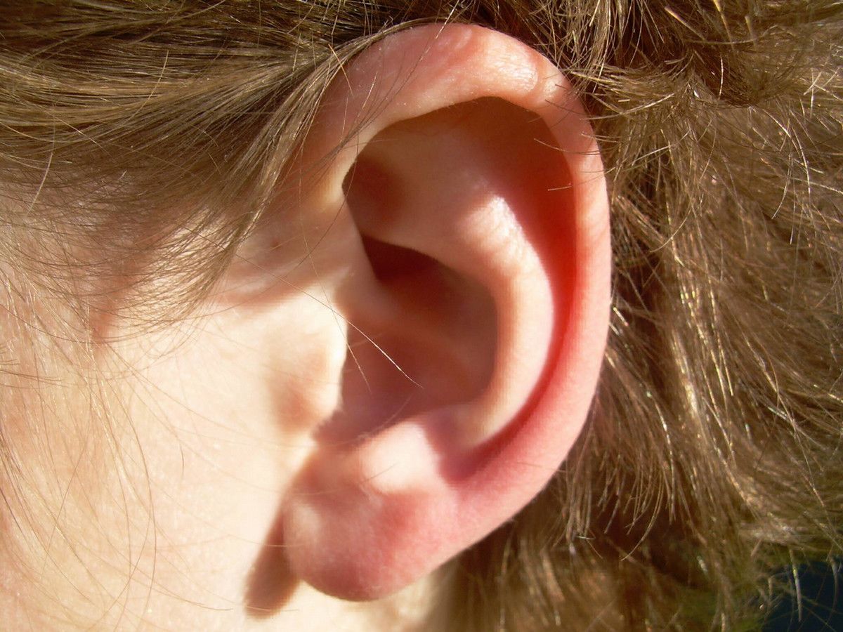 A close up of a child's ear with light brown hair outside in the sunshine