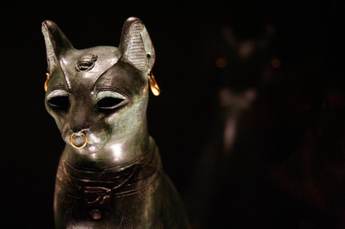 An Egyptian bronze cat statue with gold rings in low lighting at a museum exhibit