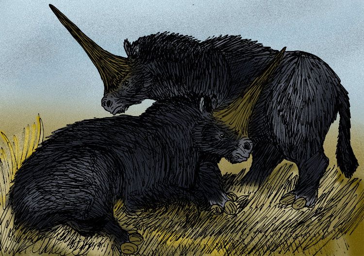 An illustration of two Elasmotherium sibiricum drawn standing and sitting in a field