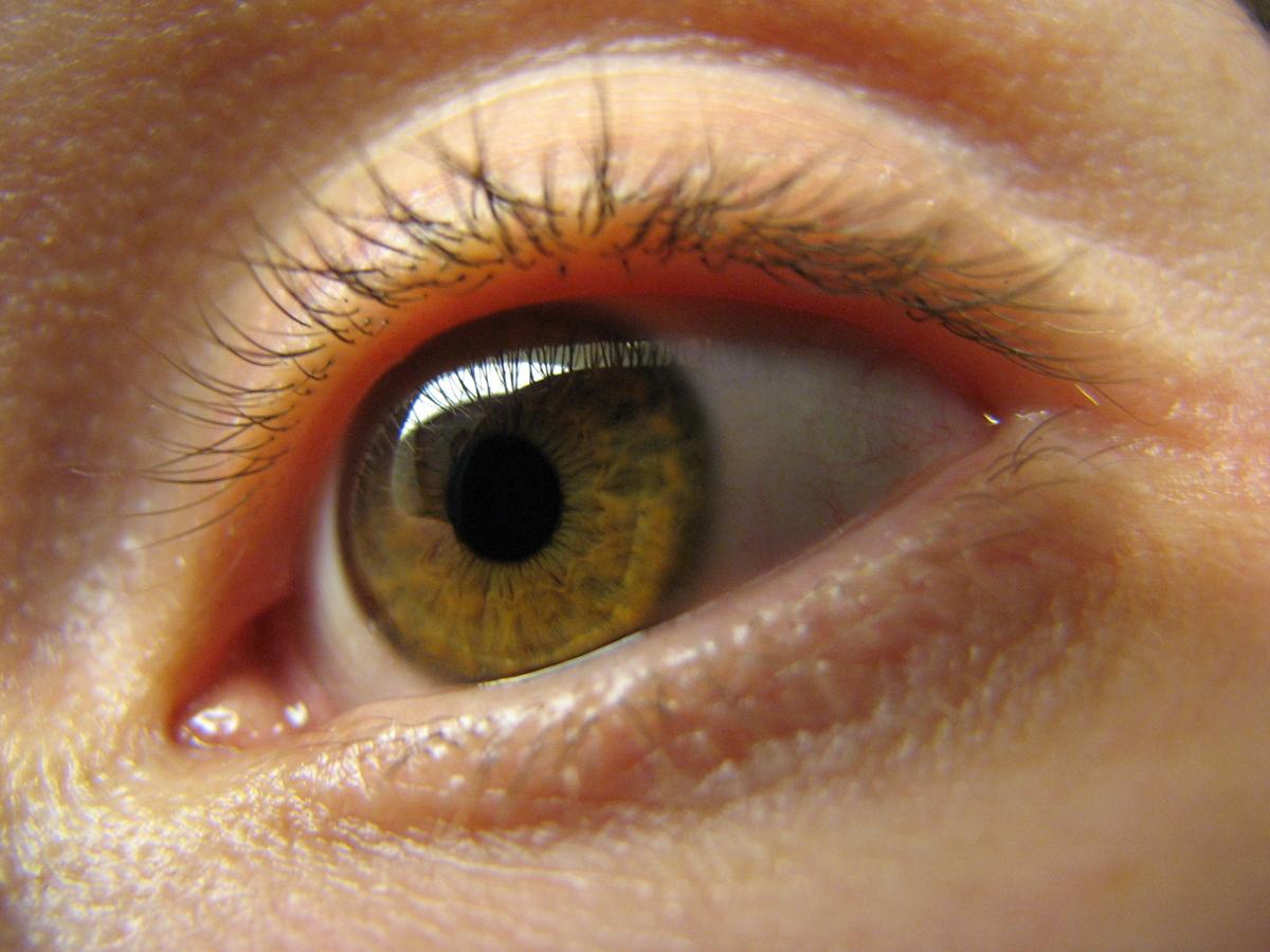 An extreme closeup of a single brown eye looking away from the camera