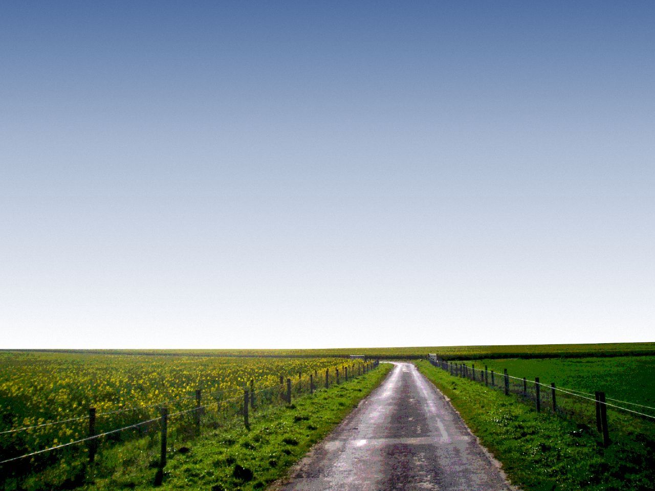 A dirt road next to green fields with clear blue sky overhead, heading off to the horizon