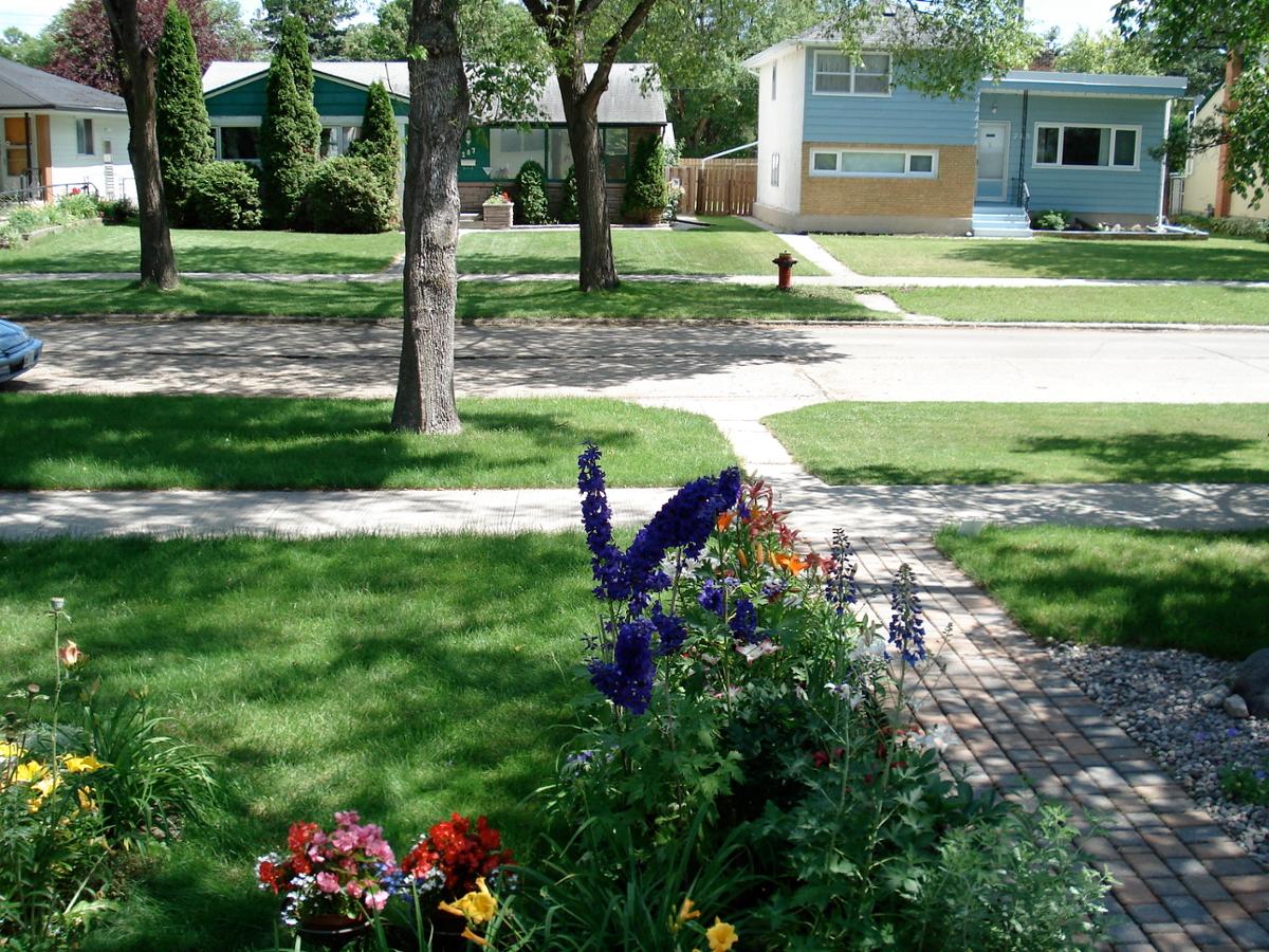 A freshly cut front lawn on a sunny day, with flowers blooming in a garden