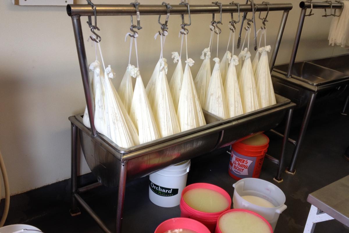 Hanging curds and whey.