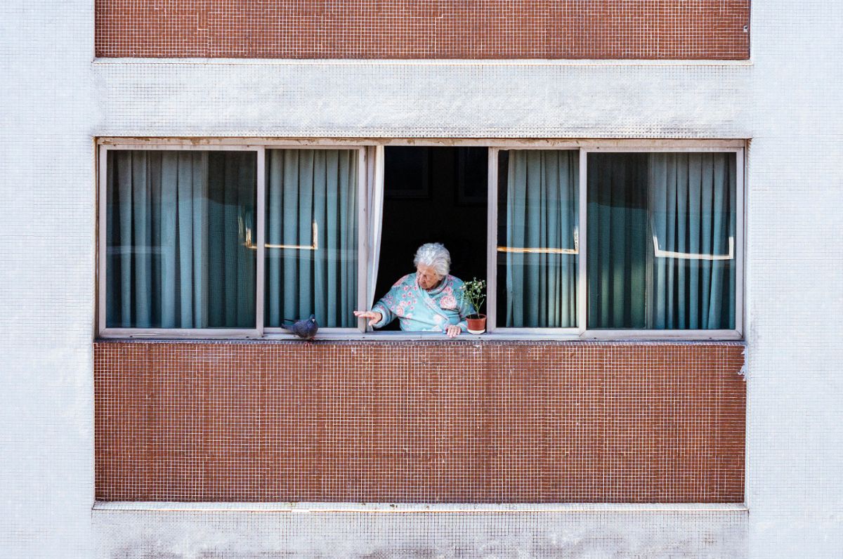An older woman alone at her window with a pigeon nearby