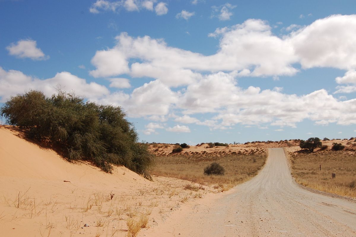 A dirt road through the Kalahari desert, with little vegetation in the dry climate