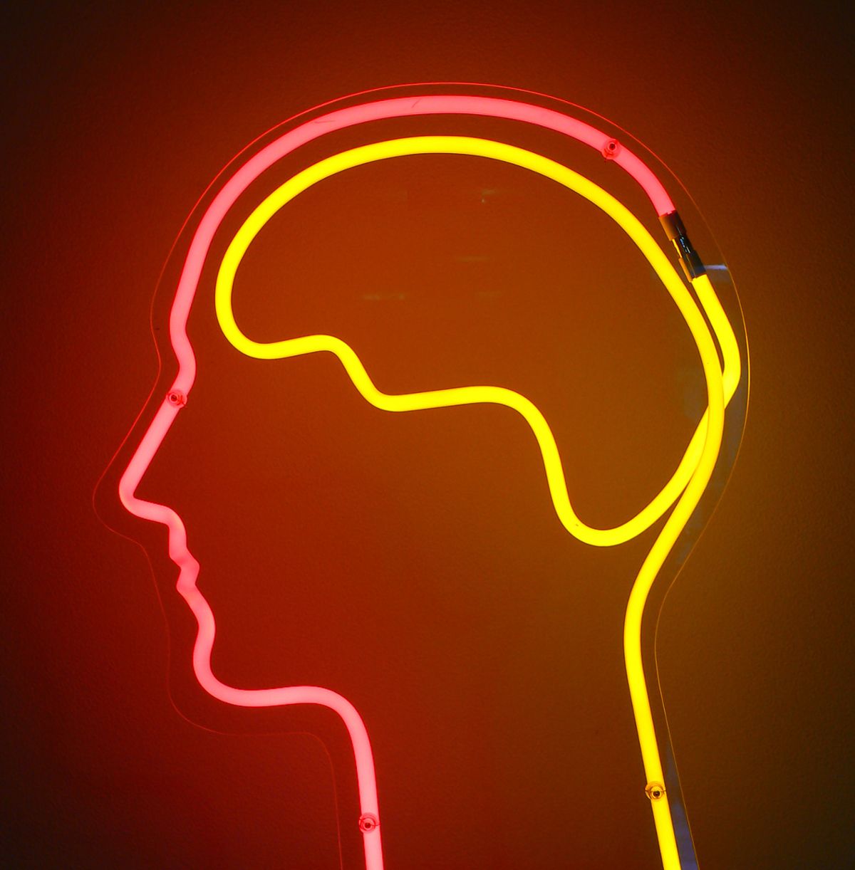 A neon light display shaped into a profile of a face with a brain inside